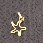 آویز ستاره